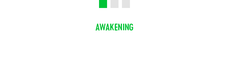 sock survey awakening